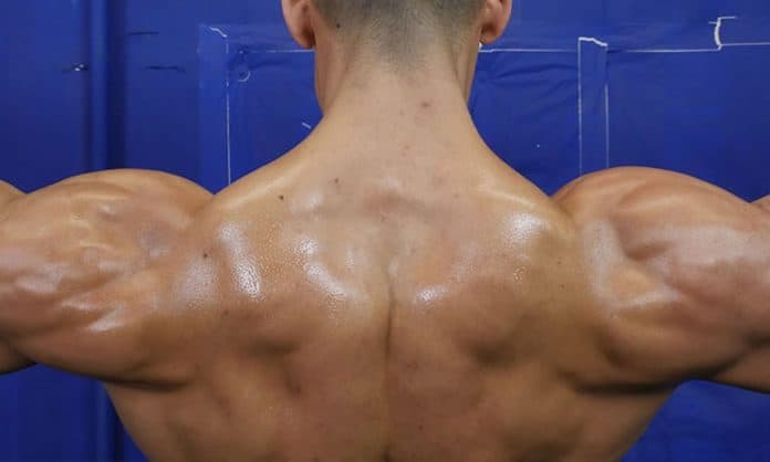 5 exercises for big shoulder muscles 5 exercises for big shoulder muscles