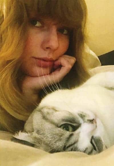 Taylor Swift in the beauty and the cat snap