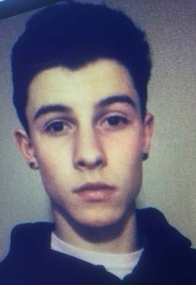 Shawn Mendes double earrings